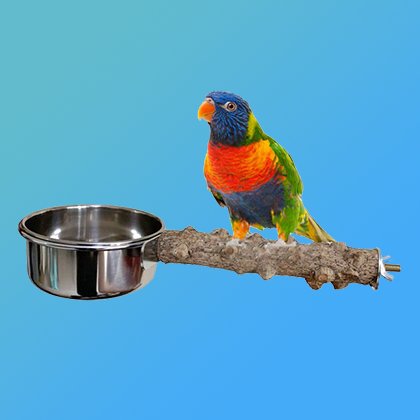 Feeding Bowls