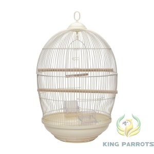308 cage bird canary